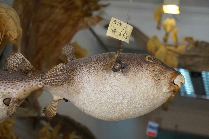 大澳"的评论图片