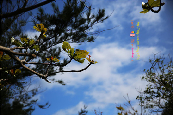 2017.感受生态平衡的景象,为了知道爱护环境的