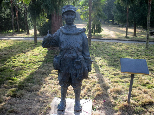 来之前看了凤凰卫视的《七十年的远征》,很震