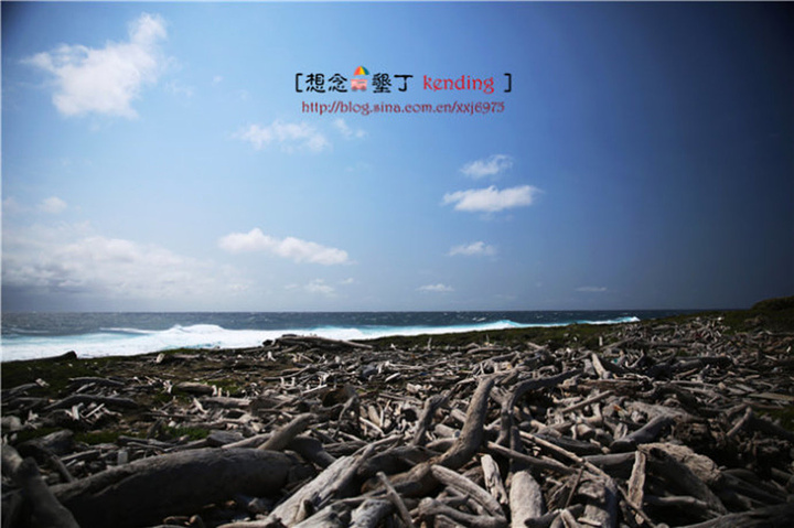 2017.感受生态平衡的景象,为了知道爱护环境的