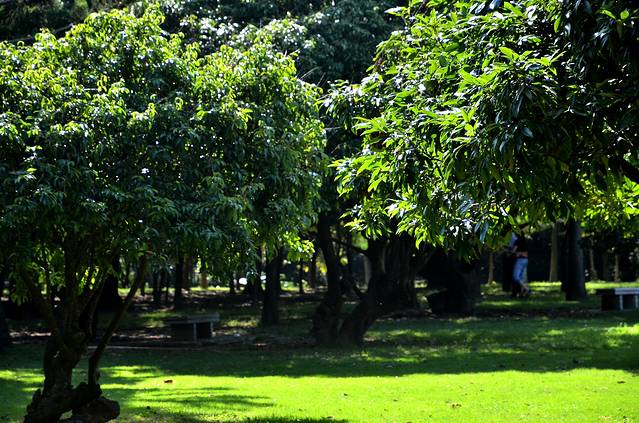 红树林海滨生态公园