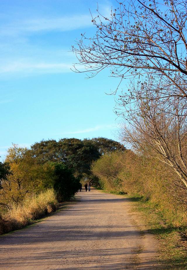 Reserva Ecologica Costanera Sur