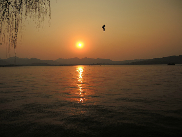 可惜太阳离雷峰塔太远了点.好多人和紫檀一起送太阳回家呢.