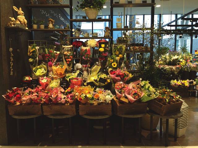 Kakiyasu Aeon Nagoya Dome