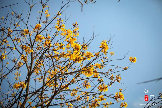 银湖湾湿地公园