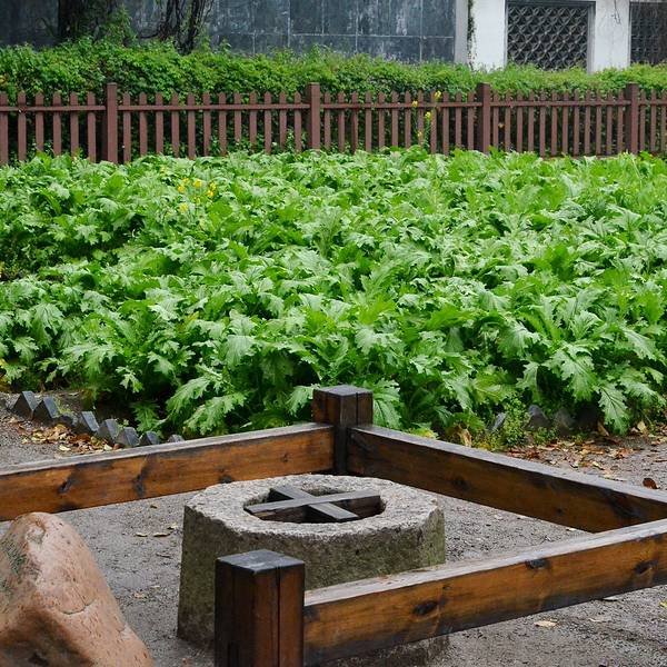 百草园旅游攻略