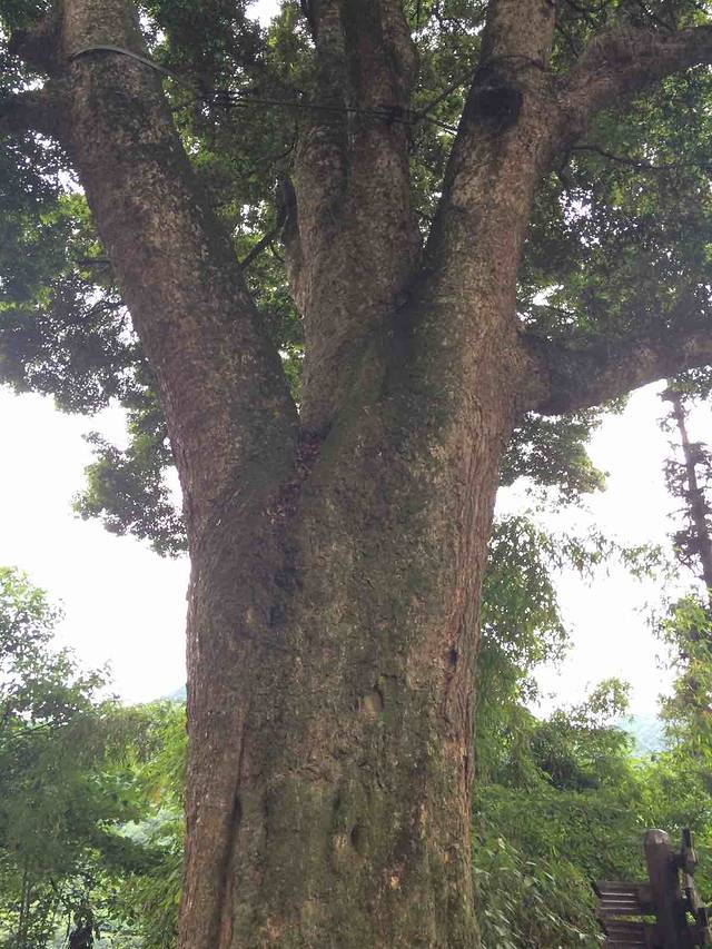 清音阁风景区-白龙洞