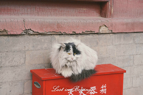 2014故宫_旅游攻略_门票_地址_游记点评,北京