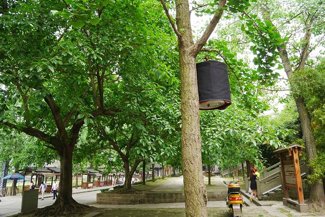 李庄旅游度假区