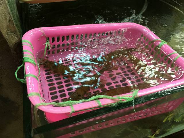 江西冷海鲜市场