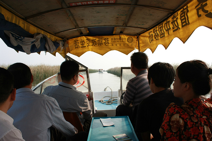 2017另外芦苇花也不错,作为装饰品放在家里_