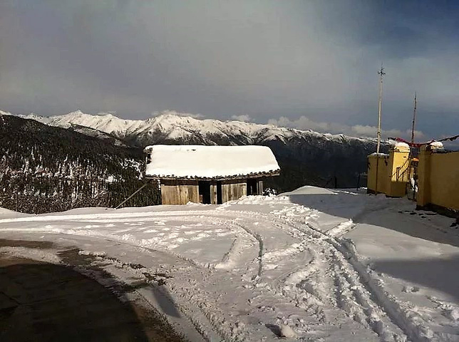 "经过昨天海拔较高的梦笔山，我觉得我爬玛嘉沟这座雪山完全不用担心高反了。木栈道上的羊群_玛嘉沟"的评论图片