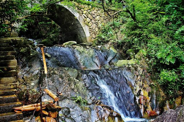 千岛湖森林氧吧