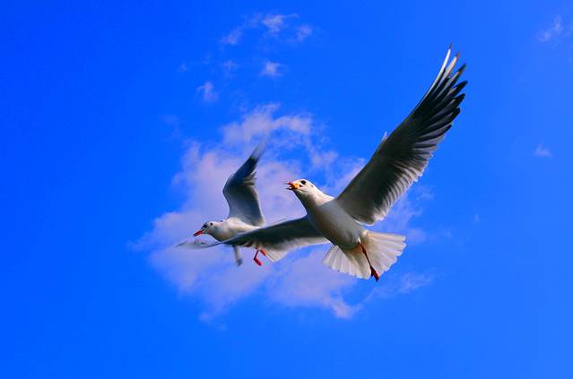 月亮湾湿地公园