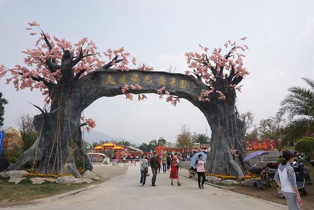 天适樱花悠乐园