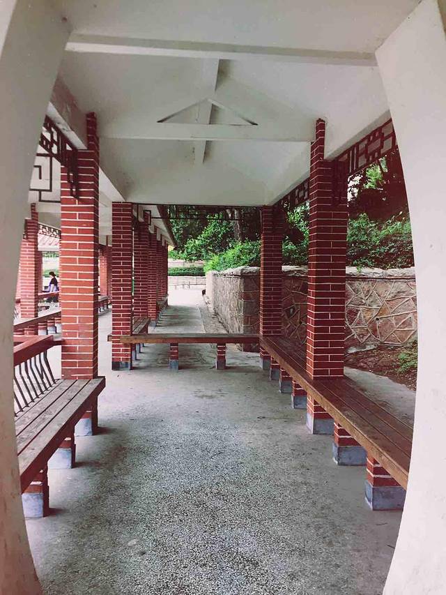 青岛北岭山森林公园