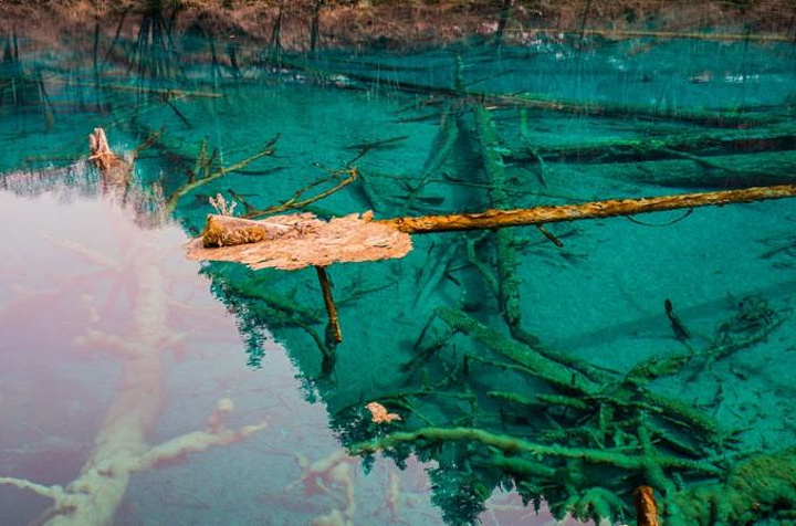 孔雀河道:位于五花海出水口左侧的深谷里,河道蜿蜒而行,全长310米.