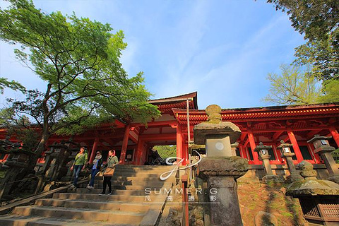 春日大社旅游景点攻略图