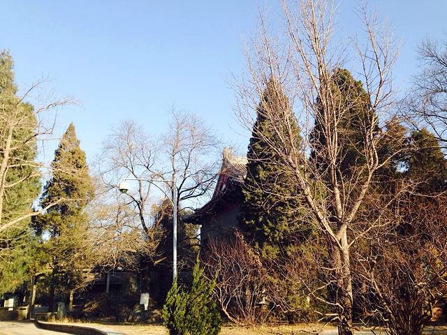 北京大学-图书馆