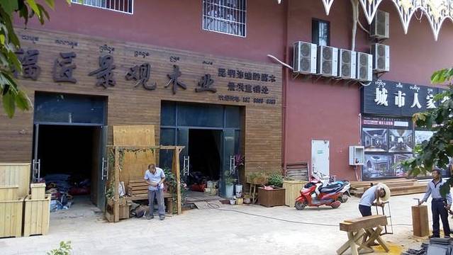 云南省最南端--享受西双版纳的艳阳