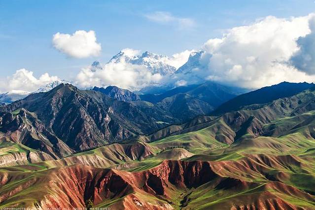 卓尔山