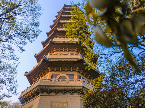 灵谷景区旅游景点图片