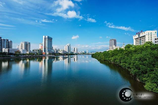 河西红树林公园