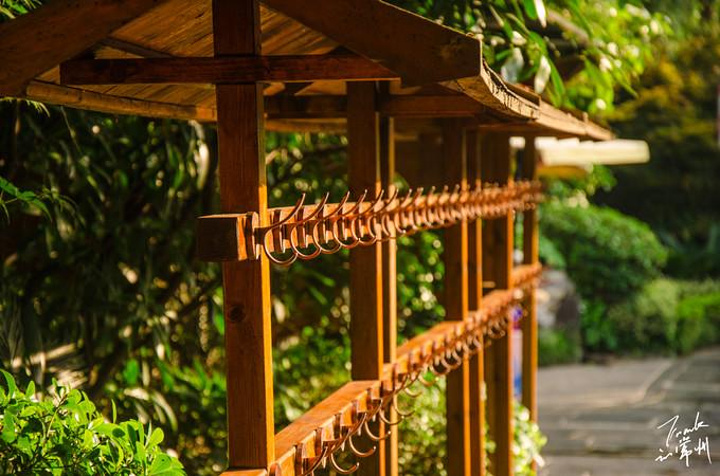 "里面有很多的汤池，有原汤池、清酒池、薄荷池、夏枯草池……建议每个温泉池不要泡超过10分钟_恐龙谷温泉"的评论图片