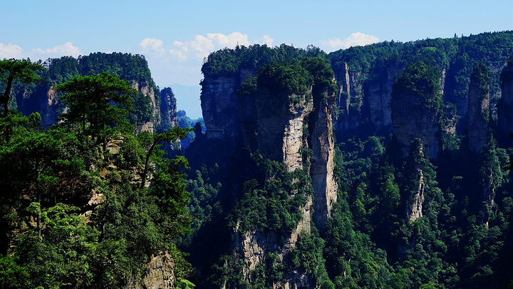 "前往袁家界，先来探访一下旅行团很少光顾的绝密景点望桥台，与众不同的从特殊的角度欣赏天下第一桥绝景_望桥台"的评论图片