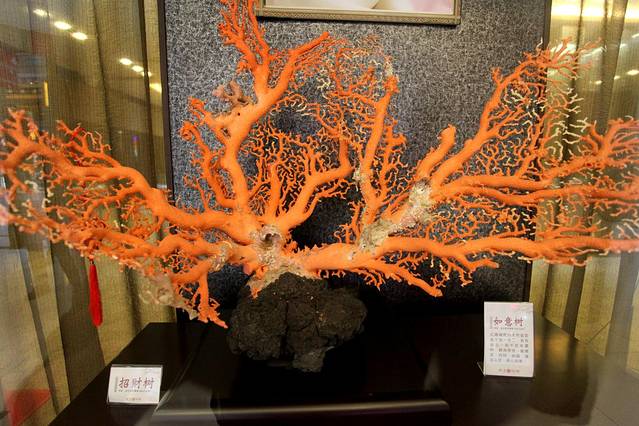 渭塘中国珍珠宝石城