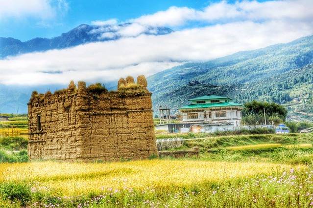 Centenary Farmers Market