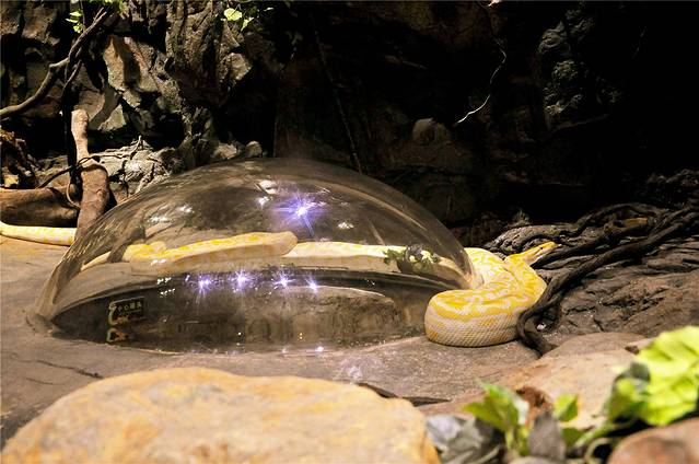 广州-珠海两地长隆亲子之旅|陪你疯玩到老