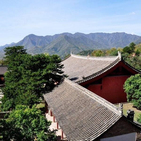 7238b4d756ff72b5.jpg_600x600x70_0f4c5dc2.jpg