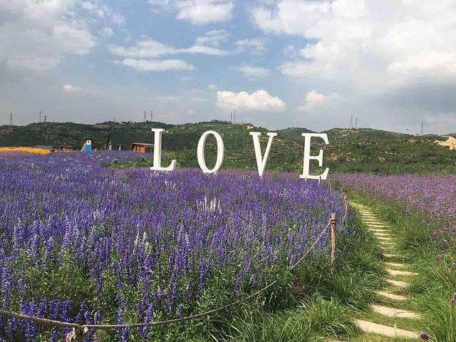 薰衣草NE庄园