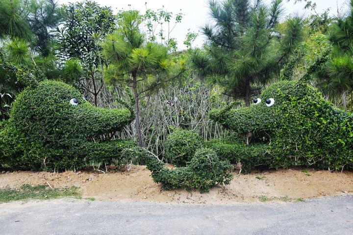 2017澳门的士起步价正好17元 因为官也街附近