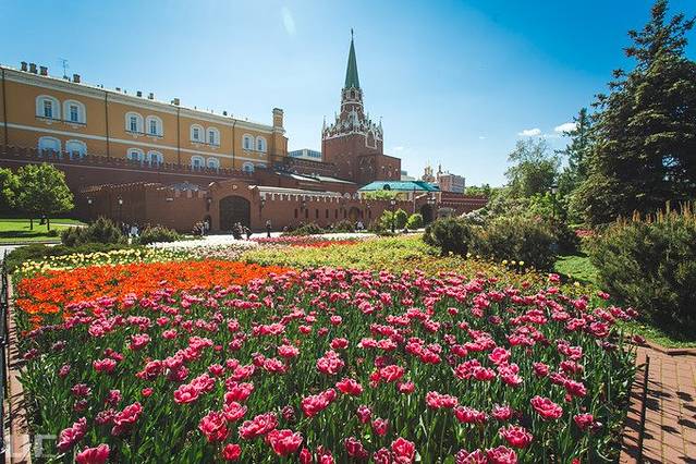 亚历山大花园旅游攻略