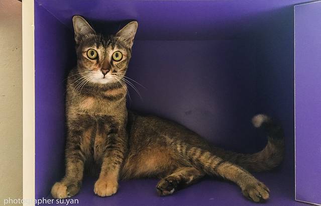 揭开神秘曼谷的面纱