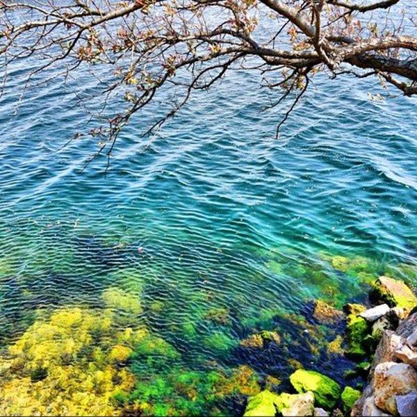 2018禄充风景区门票,澄江禄充风景区游玩攻略,禄充风景区游览攻略路线\/地址\/门票价格-【去哪儿攻略】