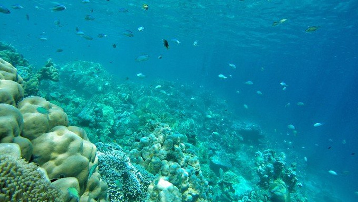 "...透蓝海水并蕴藏着白色细软沙滩的美丽海岛，到了那里你会觉得一切的相机都不如双眼来的更真实，更震撼_苏林群岛"的评论图片