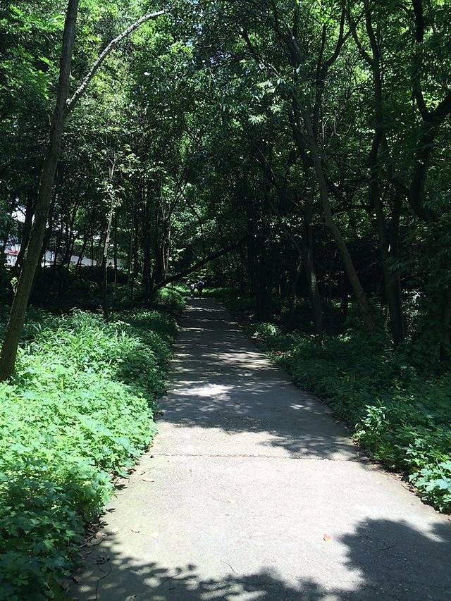 贵州大学(花溪东校区)