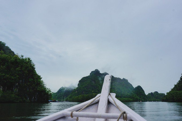 "当地很多的旅行社有代理兰卡威红树林半日游，但其实自己包船也是很方便的，去到红树林码头直接跟服..._红树林生态保护区"的评论图片