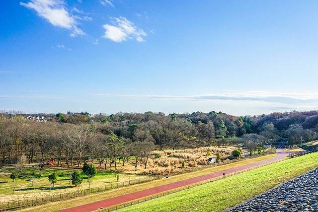 狭山自然公园