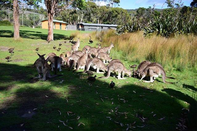 东海岸自然世界