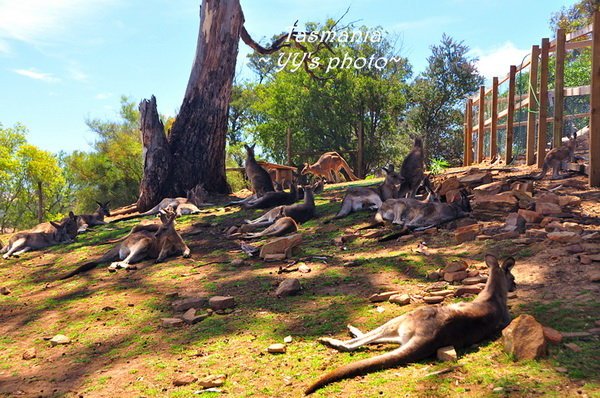 波诺朗野生动物保护区
