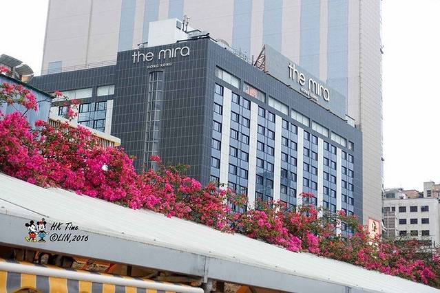 周大福(弥敦道店)