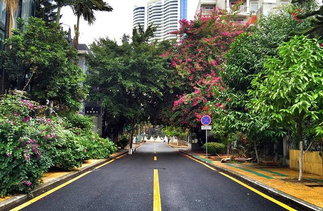 西堤咖啡一条街