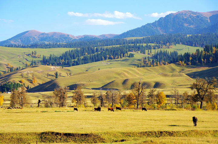 却有着不同一般的秋日美景宁静安详的草原美景夕阳下柔漫起伏的山坡
