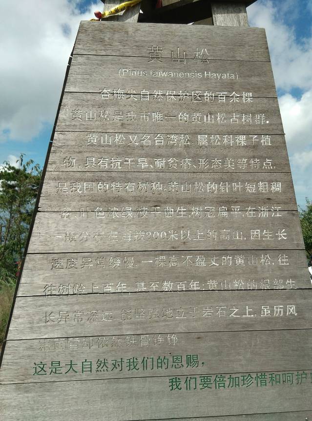 龙门山森林公园