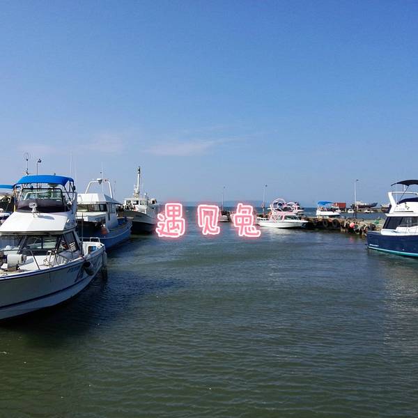 0c5d2b7415767eb5.jpg_600x600x70_0a34b904.jpg