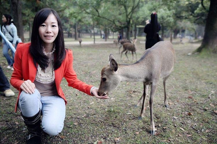 21找到公园内最美的一只小梅花鹿 它蹲坐在一个不起眼的角落里 好悠闲 奈良公园 评论 去哪儿攻略